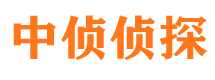 渑池侦探公司